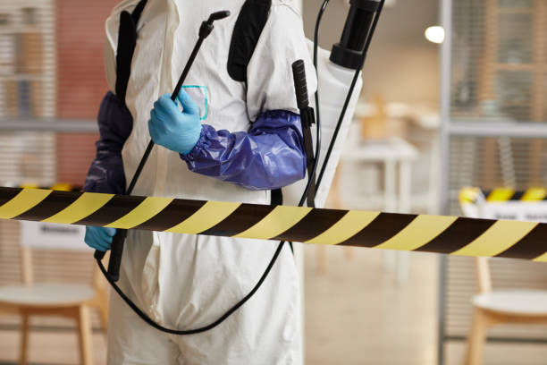 Professional Hoarding Cleanup technician working in Alvin, TX